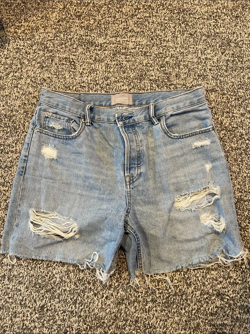 Everlane Distressed Denim Shorts